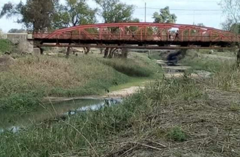 No Respetaron ni Semana Santa : Faenaron un animal vacuno en zona del Puente Rojo