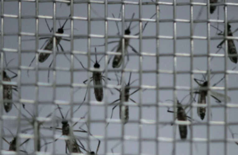 Un nene de tres años falleció por dengue en Córdoba