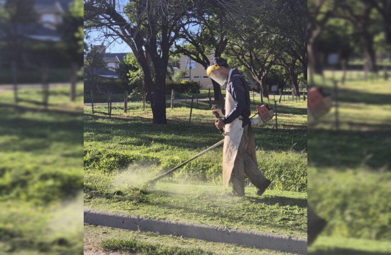 LA PAZ : LIMPIEZA Y CORTE DE PASTO EN LA CIUDAD