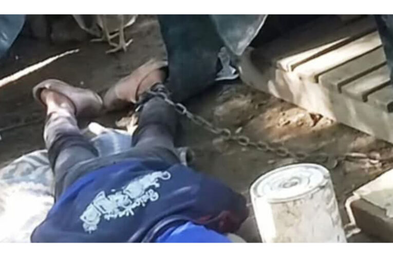 Salta | HORROR: TENÍAN A UNA MUJER VIVIENDO ENCADENADA EN LA CUCHA DEL PERRO