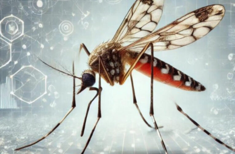 CUIDADO! Un llamativo cambio en el contagio del dengue sorprende este verano.