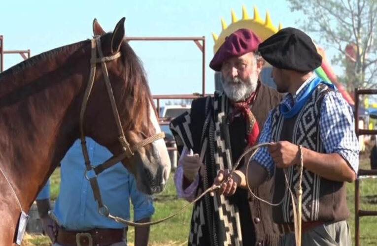 DESTACAN LA RESOLUCIÓN QUE SE APLICA EN ENTRE RÍOS Y REGULA EL BIENESTAR ANIMAL EN EVENTOS CON CABALLOS.