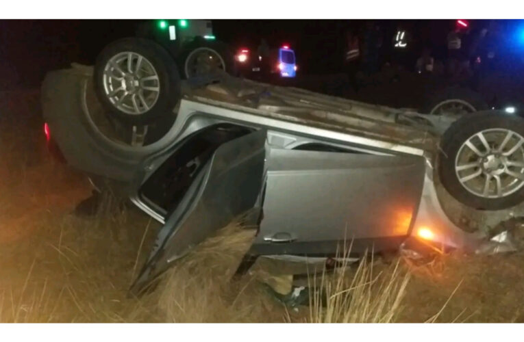 Corrientes: se le cruzó un carpincho, intentó esquivarlo y volcó