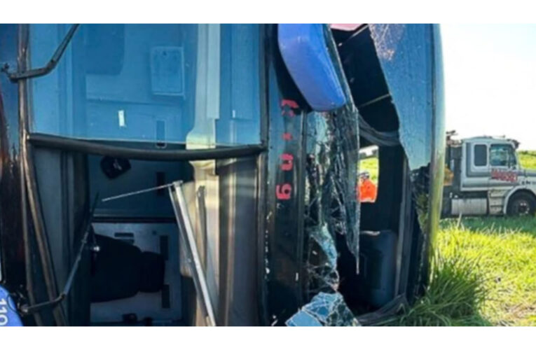 Murieron 11: un micro perdió el control, volcó en medio de la ruta y desató una devastadora tragedia