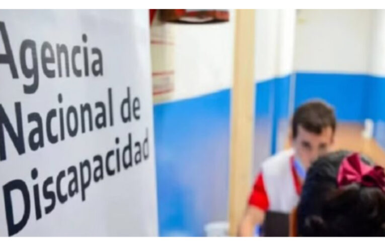 El Gobierno analiza dar de baja más de 220 mil pensiones por discapacidad laboral por irregularidades detectadas en una auditoría