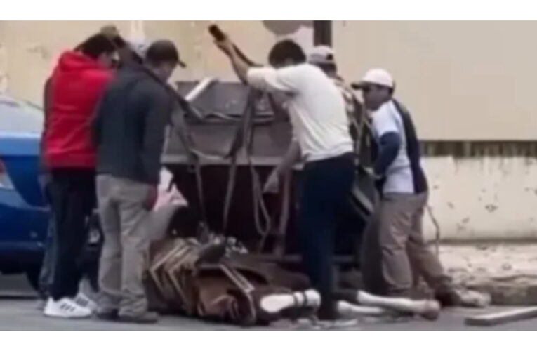 Un caballo se desplomó en la calle y generó repudio entre los vecinos