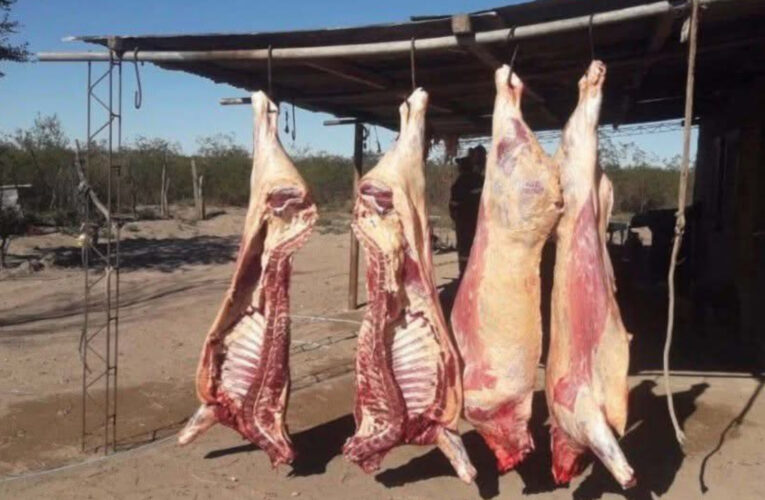 La Pampa : Me arruinaron, la Policía de Santa Isabel me detuvo, me sacó 550 kilos de carne y la tiró» Manifestó un pequeño Productor.