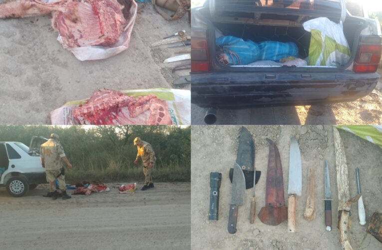 HECHO DE ABIGEATO EN FLAGRANCIA, OCURRIDO EN RUTA 50 – ZONA PARAJE PICADA BERON. Llevado a cabo por personal de Brigada La Paz .