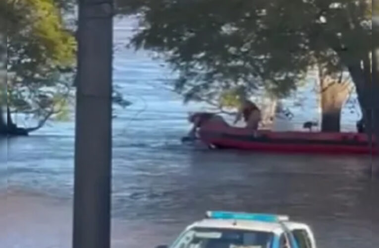 Corrientes : Rescataron a un hombre que cayó con su auto al río