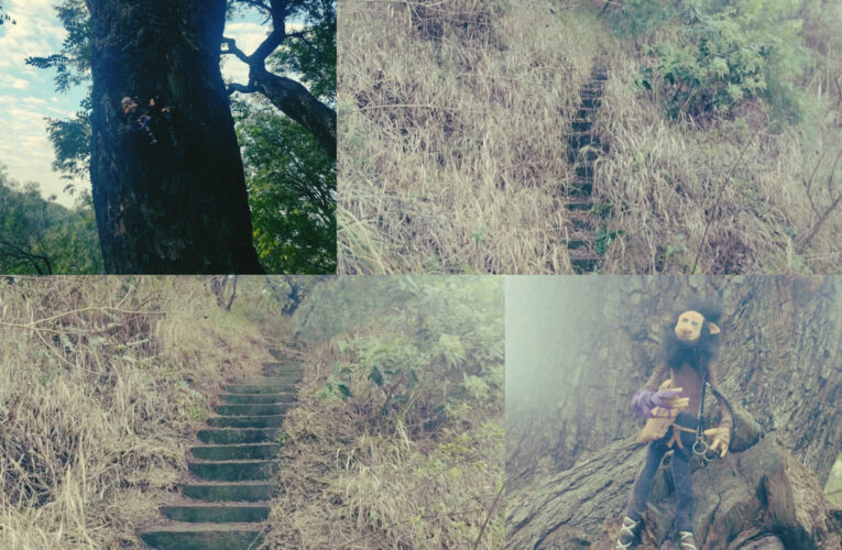 ¿Duendes en Paraná? Increíble hallazgo de empleados municipales en el Parque Nuevo