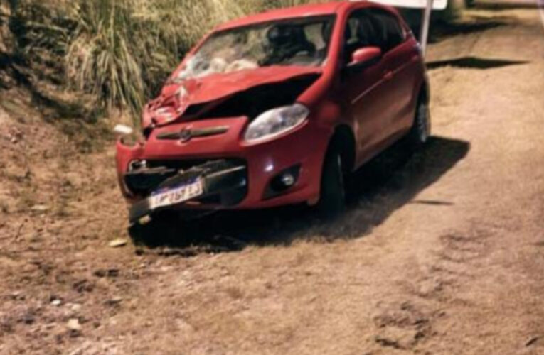 Un vehículo colisionó contra un Vacuno en el acceso Sur de la ciudad de La Paz.