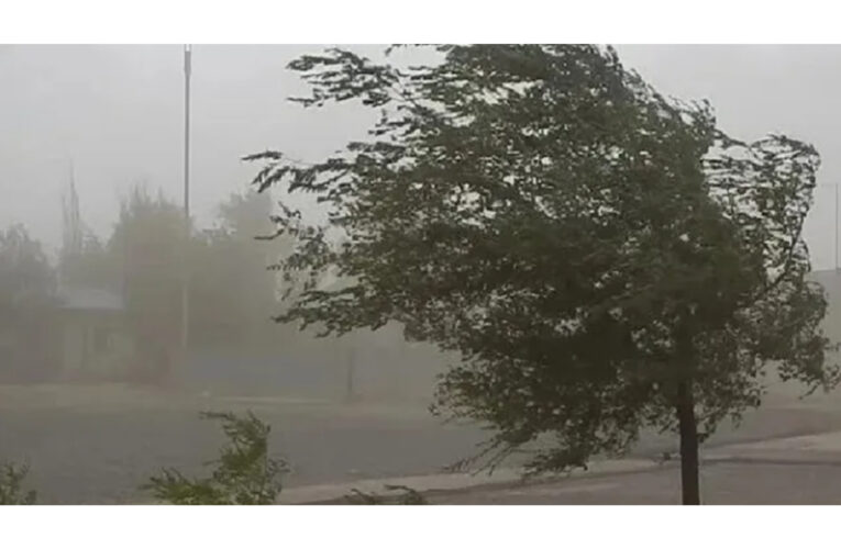 SMN: emitieron una alerta amarilla por vientos fuertes para gran parte de Entre Ríos