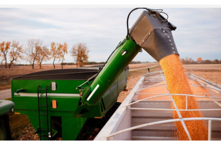 Conmoción. Tragedia en el interior de Córdoba: una nena de 5 años falleció tras caer en una tolva