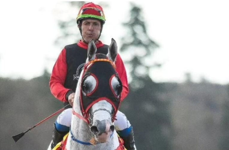 Sacrificarán al caballo Don Nelson: se trata de uno de los caballos más taquilleros del último tiempo