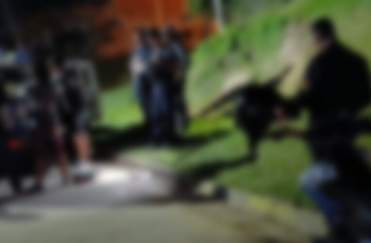 Cinco menores fueron demorados tras amenazar a un transeúnte con un arma de fuego en La Paz