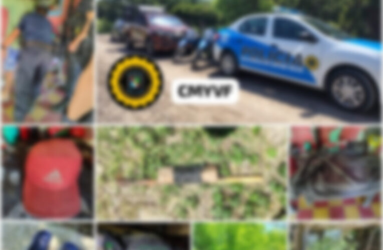 Allanamiento por amenazas agravadas en La Paz: secuestran objeto similar a un arma de fuego y constatan plantas de cannabis