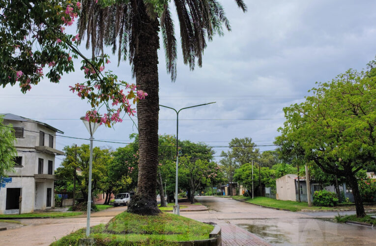 Alerta amarilla por tormentas: prevén lluvias intensas en Entre Ríos