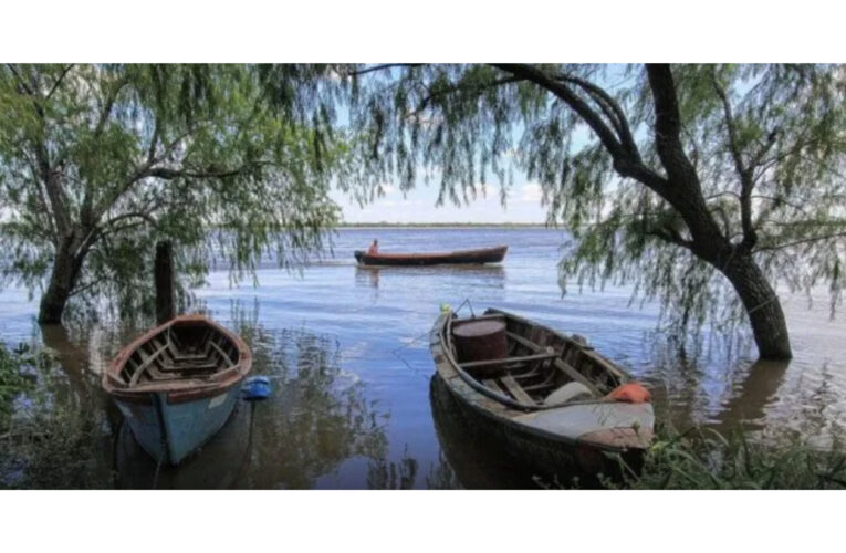 Ante la crisis, crece la pesca de subsistencia en las costas del Paraná