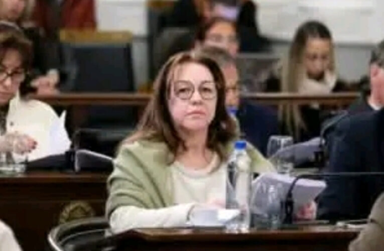 La senadora Patricia Díaz abandonó el bloque de «Más para Entre Ríos»